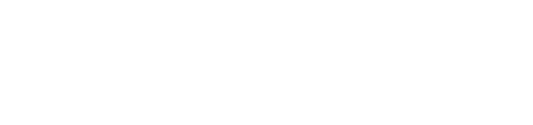 Bull Aktiv